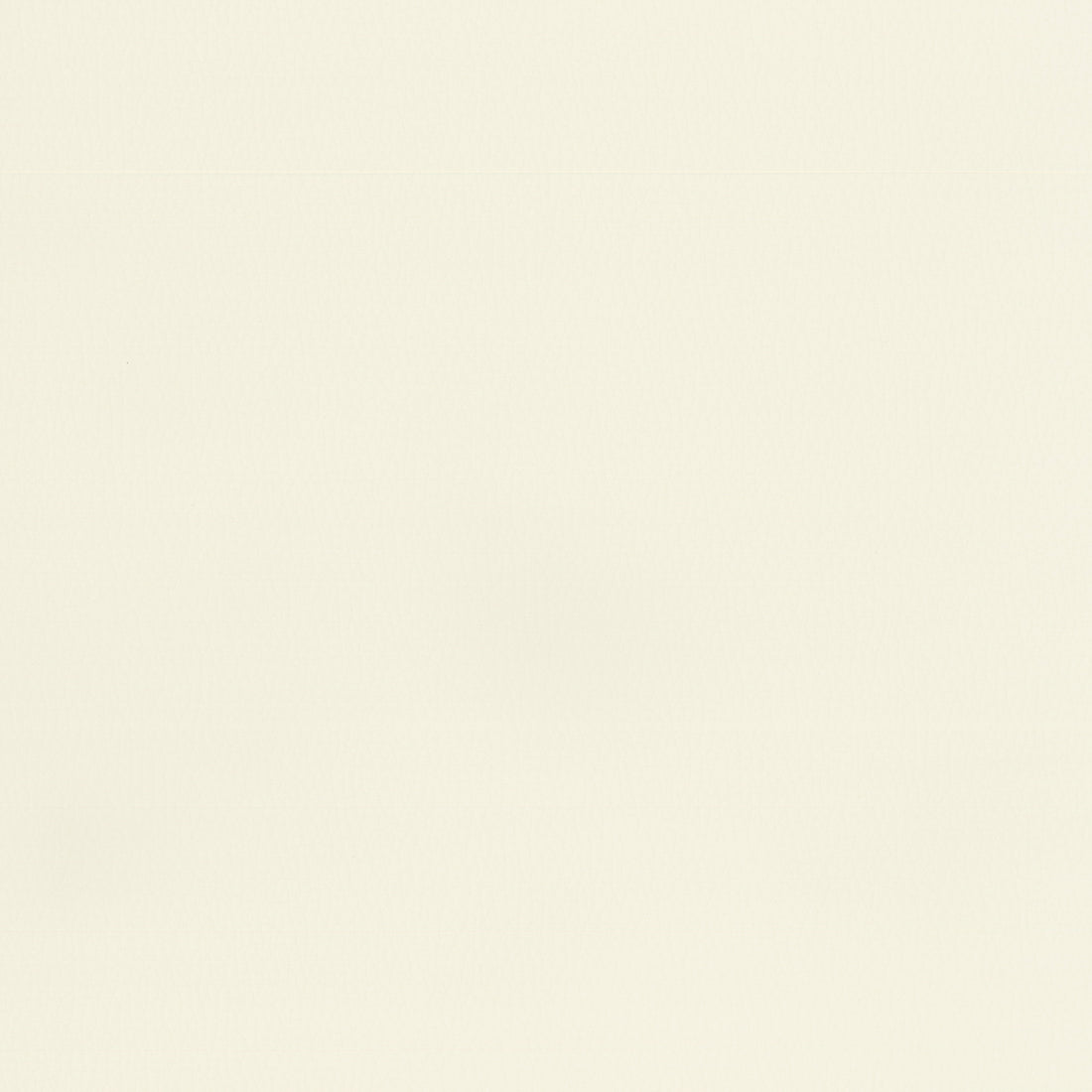 Warwick Lustrell Ranger Ivory faux leather cushion