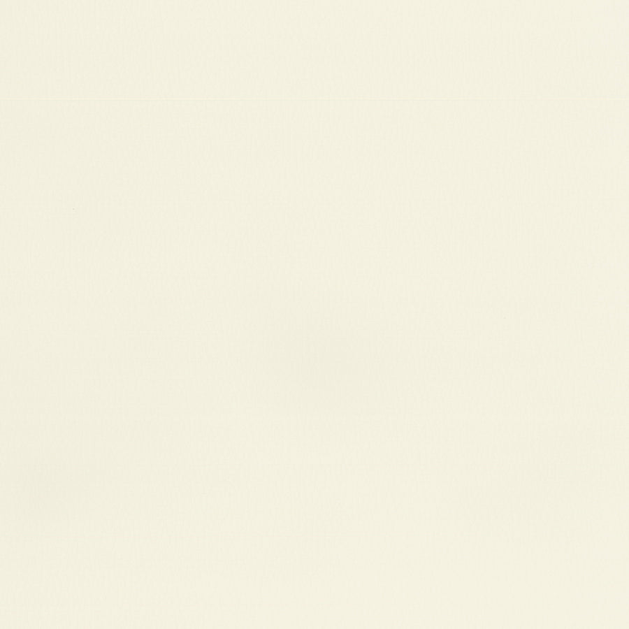 Warwick Lustrell Ranger Ivory Faux Leather Cushion