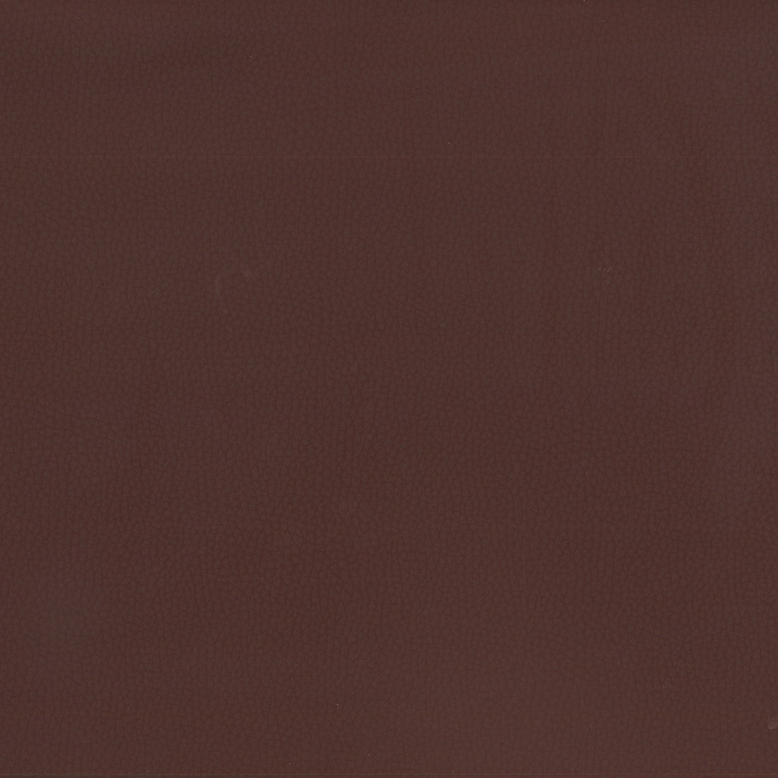 Warwick Lustrell Ranger Port faux leather cushion