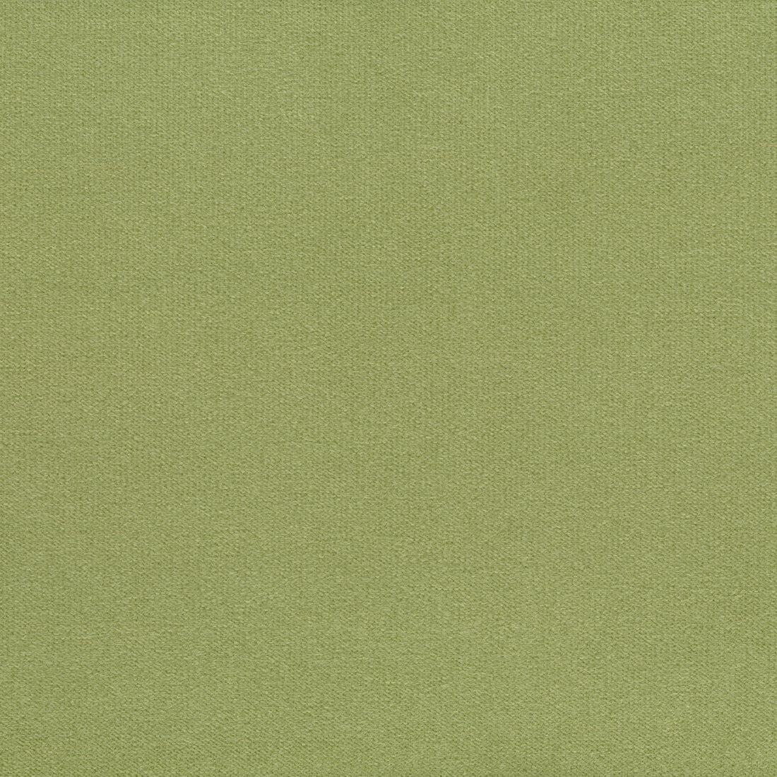 Warwick Regis Celery upholstery fabric cushion