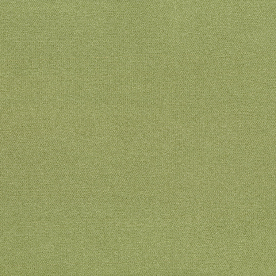 Warwick Regis Celery Cushion