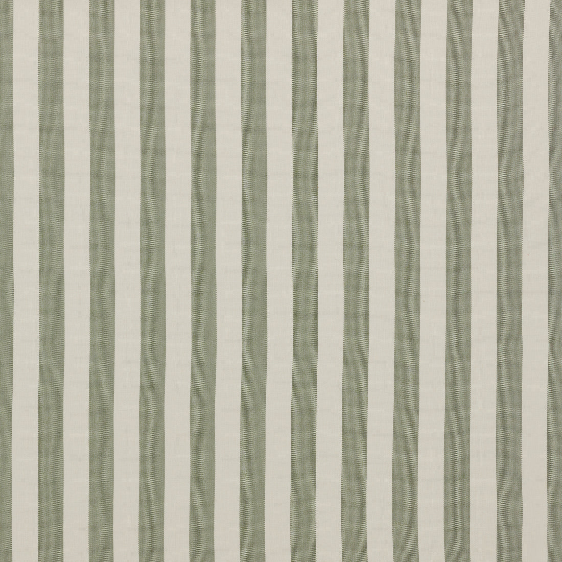 Warwick Serengeti Moss outdoor curtain fabric swatch