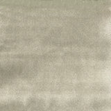 Warwick - Casimir Fossil