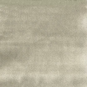 Warwick - Casimir Fossil