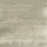 Warwick - Casimir Fossil