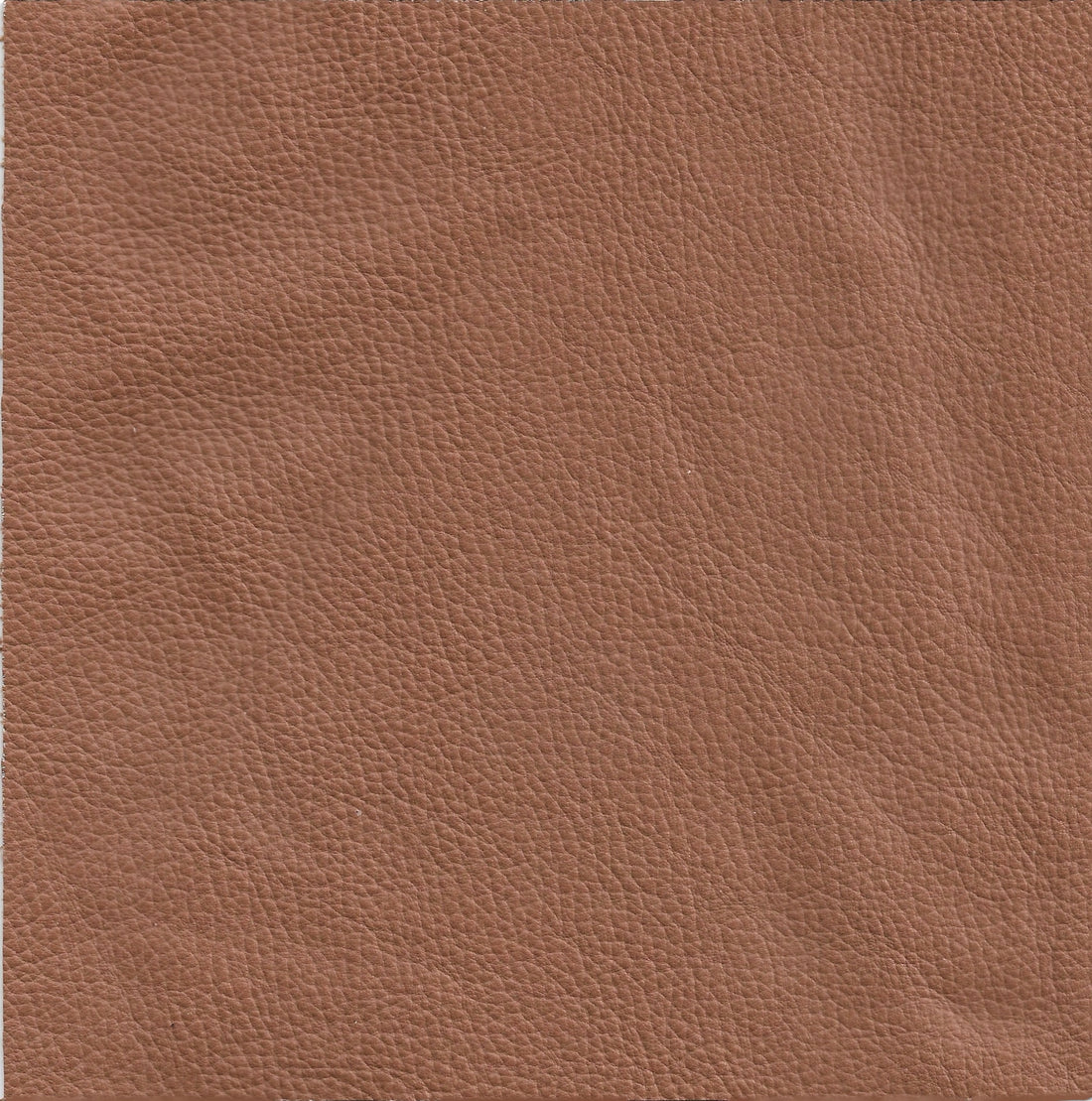 Leather Full Grain Tan Cushion
