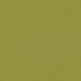 Warwick Lustrell Charisma Grass faux leather cushion
