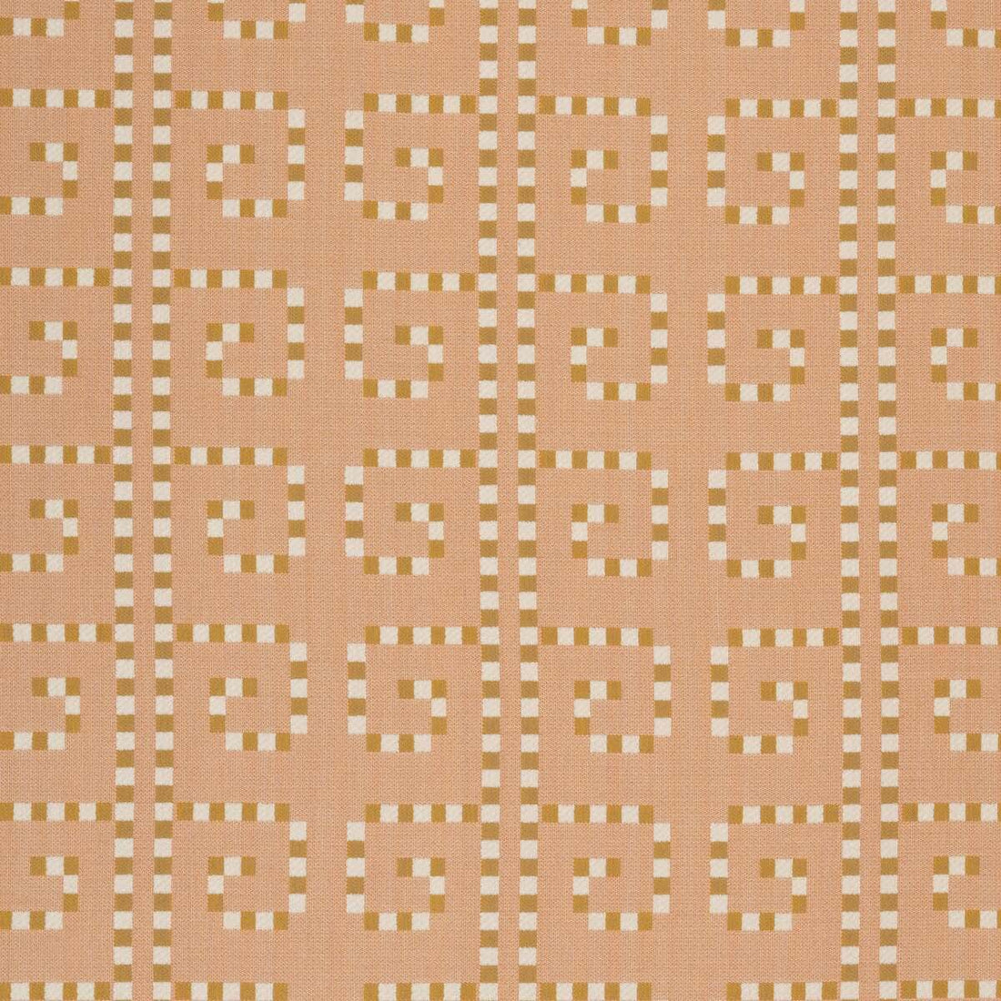 Sunbrella Block Shop Key Peach fabric swatch