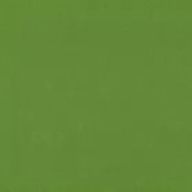 Warwick - Lustrell Charisma Kiwi