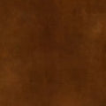 Warwick - Lovely Cinnamon