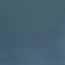 Warwick - Novara  Neptune