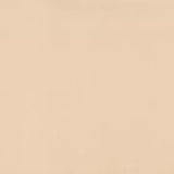 Warwick Lustrell Charisma Parchment faux leather cushion