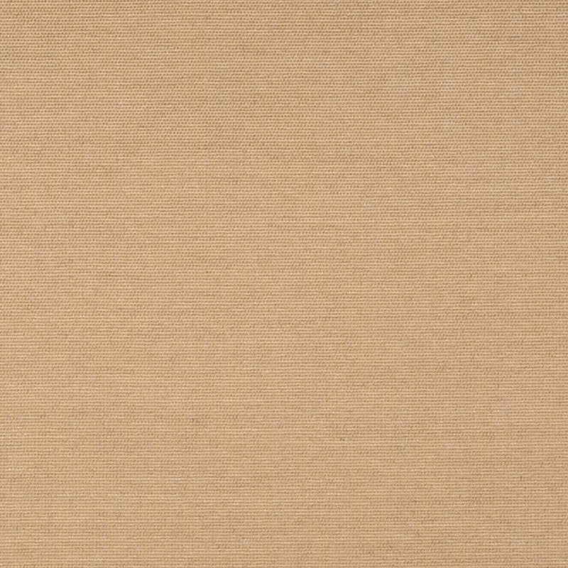 Sunbrella Play Camel Cushion
