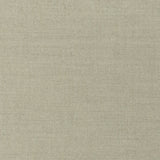 Sunbrella Play Sage Cushion