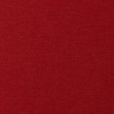 Sunbrella Play Scarlet Cushion