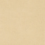Sunbrella Shadow Sand Cushion