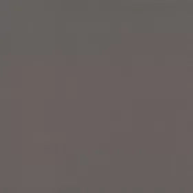 Warwick - Lustrell Charisma Smoke