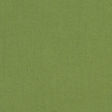 Spectrum-Cilantro_48022-0000