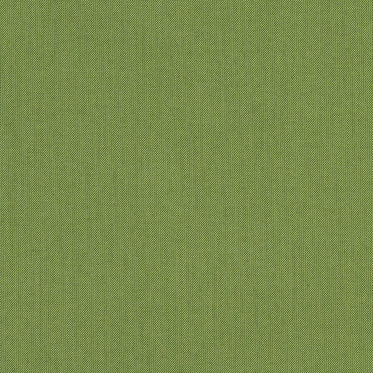 Spectrum-Cilantro_48022-0000