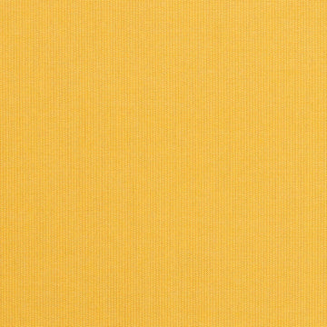 Spectrum-Daffodil_48024-0000