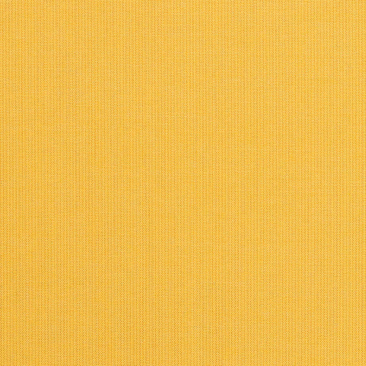 Spectrum-Daffodil_48024-0000
