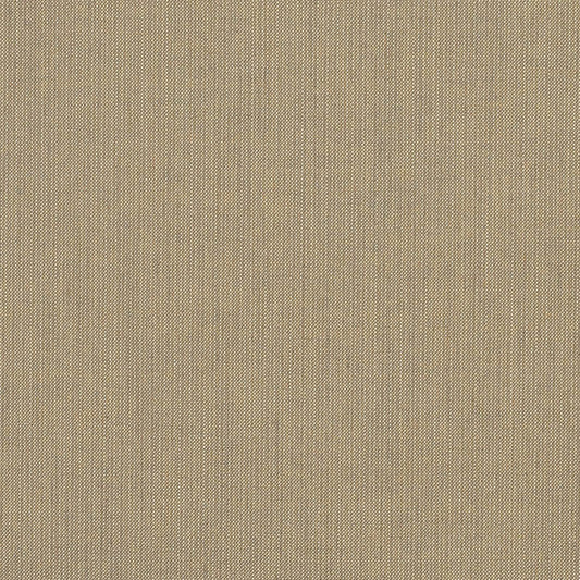 Spectrum-Mushroom_48031-0000