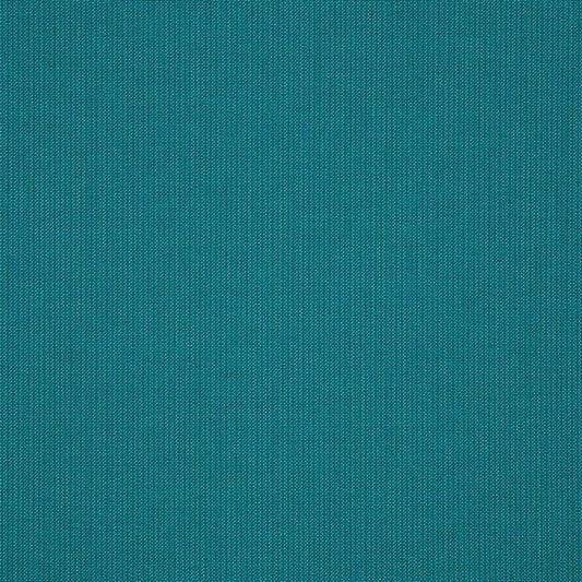 Spectrum-Peacock_48081-0000