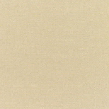 Sunbrella - Canvas Antique Beige Cushion