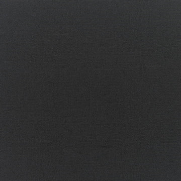 Sunbrella - Canvas Black Cushion