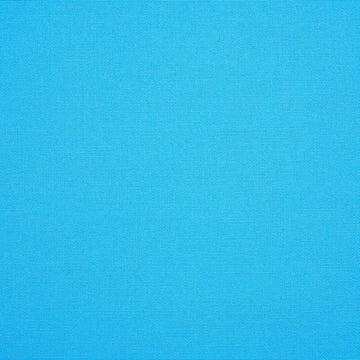 Sunbrella - Canvas Cyan Cushion