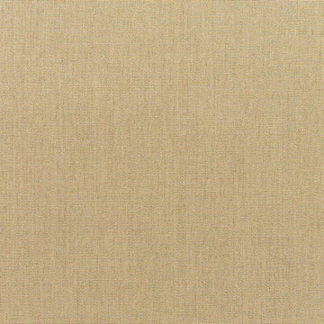 Sunbrella - Canvas Heather Beige Cushion