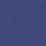 Sunbrella - Dupione Neon Blue Cushion