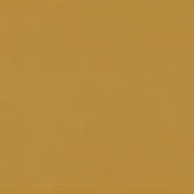 Warwick - Lustrell Charisma Sunshine