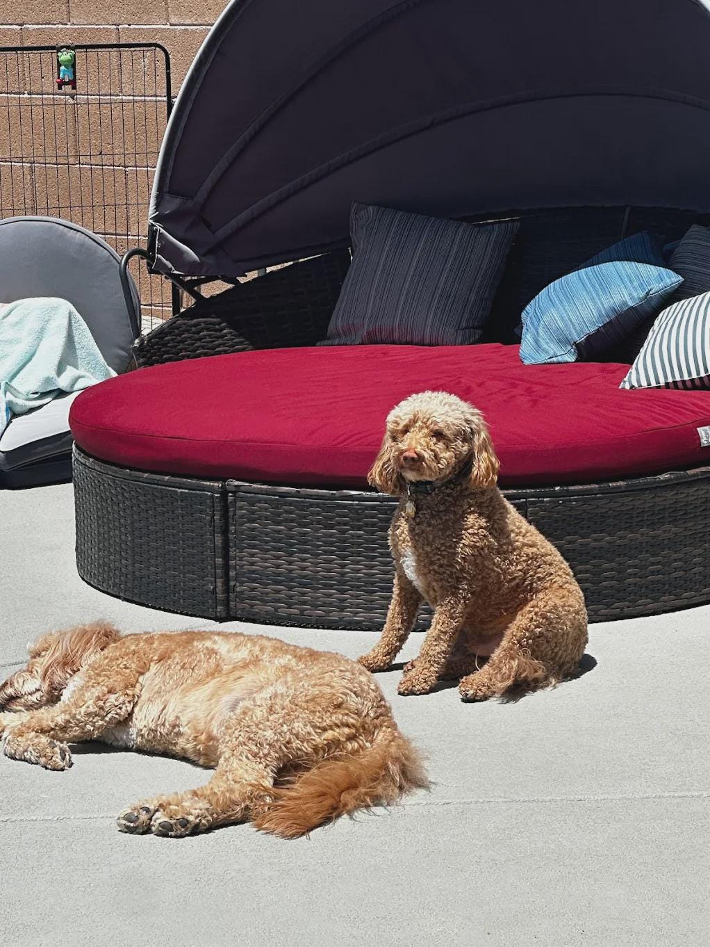 Custom Sunbrella Outdoor Bench Cushion