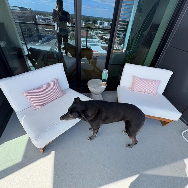Custom Sunbrella Pet-Friendly Seat Cushion