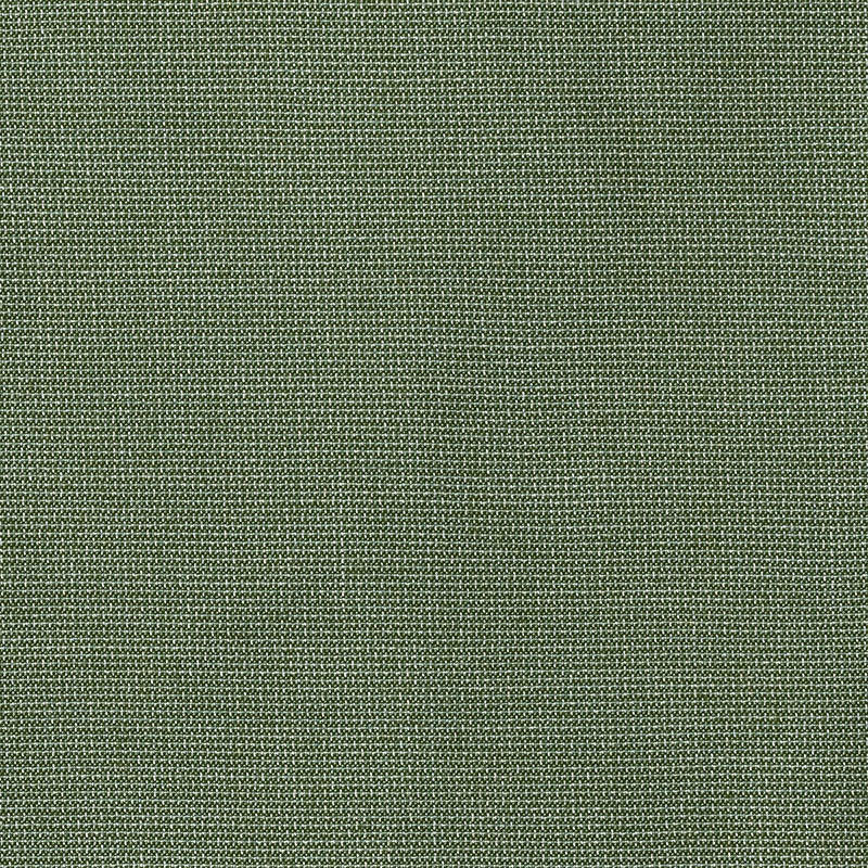 Sunbrella Bliss Aloe fabric swatch
