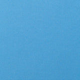 Sunbrella Canvas Capri fabric swatch