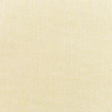 Sunbrella Canvas Vellum fabric swatch