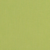 Sunbrella Spectrum Kiwi fabric swatch