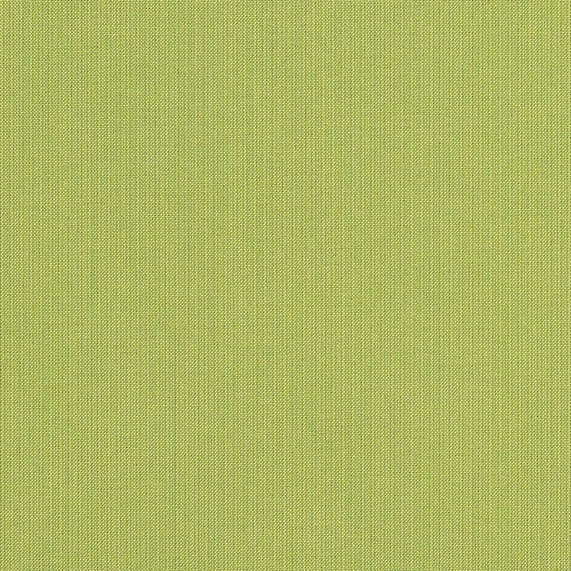 Sunbrella Spectrum Kiwi fabric swatch